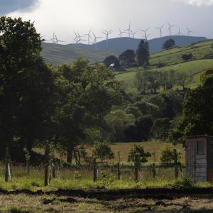 Views from Little Trochry Farm in Dunkeld, Perthshire, Scotland. In the background is views of hills and wind turbines.