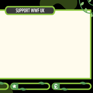 Livestream twitch overlay, black and green tropical theme